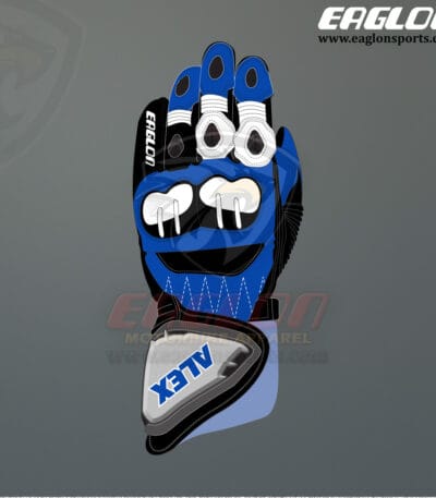 Alex Marquez MotoGP 2024 Race Gloves