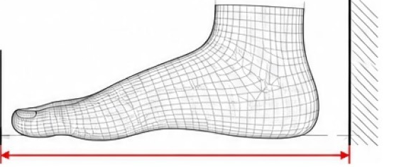 How to measure foot length for motorbike boots